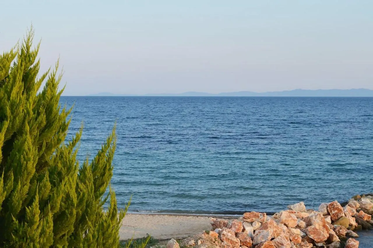 Apartment Lemon Beach Front Apartment, Nikiti